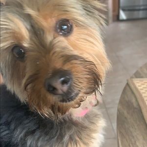 Meet your Posher, Stacey